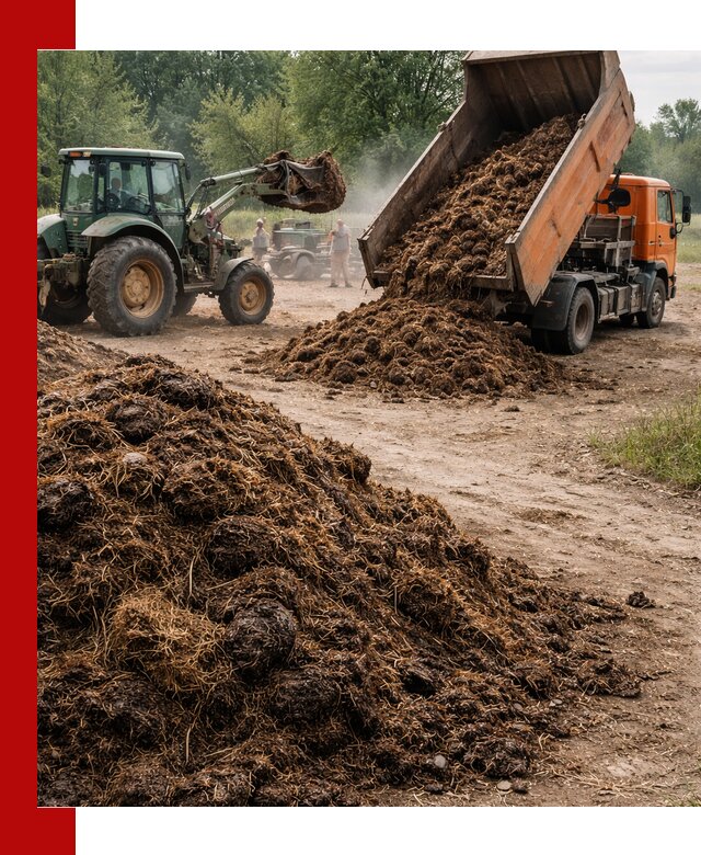 Доставка навоза самосвалами в Сосногорске для сельхозпотребностей